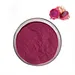 Dragon fruit powder flavor